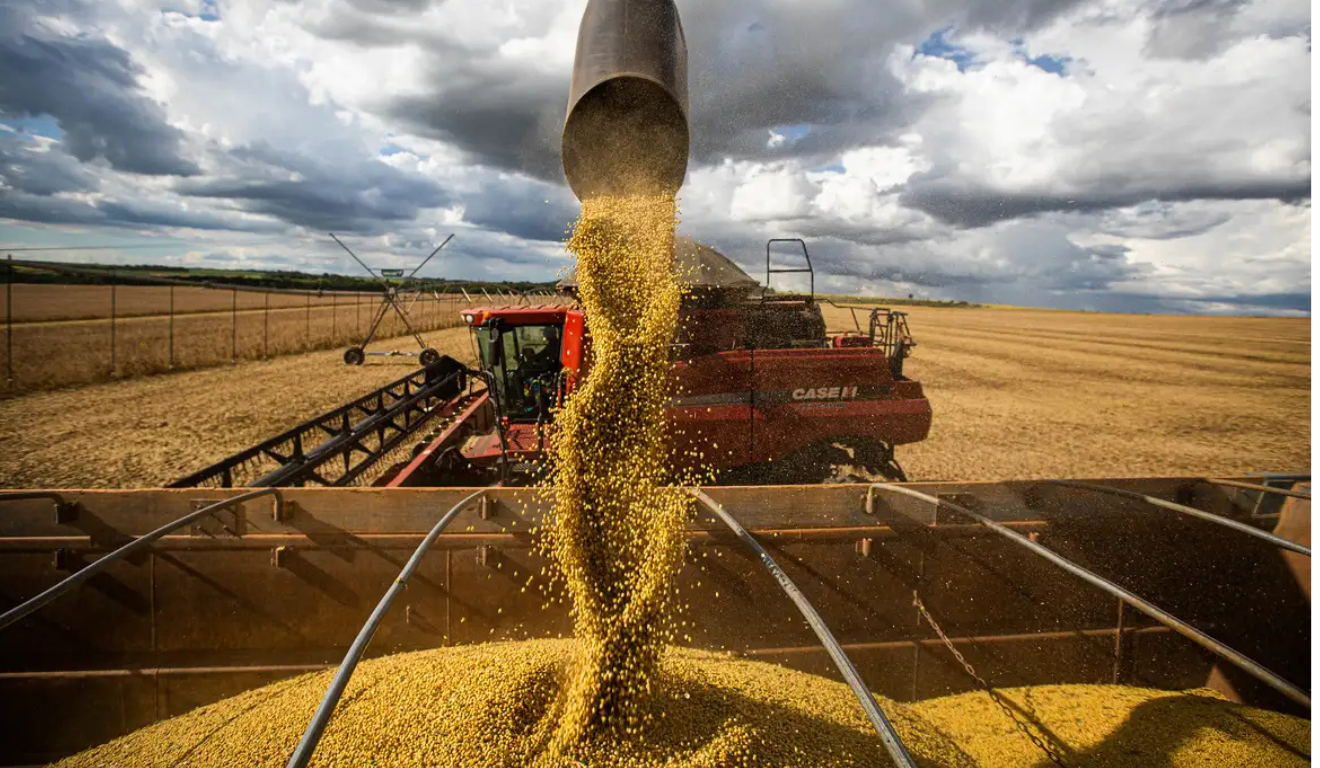Agro.png