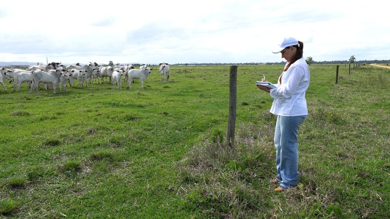 TESS-REFORMA-TRIBUTARIA-AGRO_LINHARES_01_1_Easy-Resize.com_.jpg