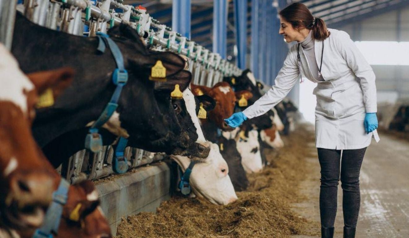 Vila-Velha-abre-inscricoes-para-selecao-de-veterinarios-e-agronomos-com-salarios-de-ate-R-75-mil.jpg
